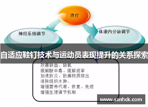 自适应鞋钉技术与运动员表现提升的关系探索